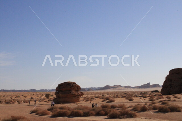 نمو النباتات البرية والشوكية في الصحراء، الأماكن السياحية في المناطق الصحراوية، التشكيلات و التكوينات الصخرية في العلا وسط صحاري المملكة العربية السعودية، المعالم التاريخية القديمة في مدائن صالح
