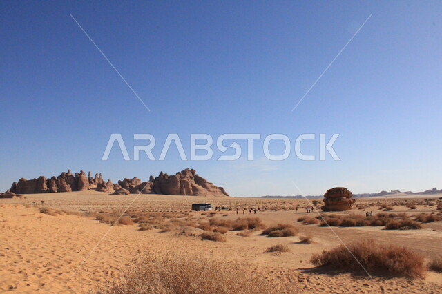 نمو النباتات البرية والشوكية في الصحراء، الأماكن السياحية في المناطق الصحراوية، التشكيلات و التكوينات الصخرية في العلا وسط صحاري المملكة العربية السعودية، المعالم التاريخية القديمة في مدائن صالح