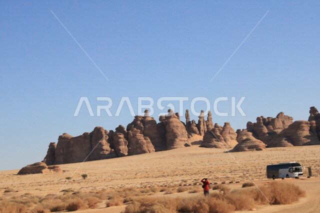نمو النباتات البرية والشوكية في الصحراء، الأماكن السياحية في المناطق الصحراوية، التشكيلات و التكوينات الصخرية في العلا وسط صحاري المملكة العربية السعودية، المعالم التاريخية القديمة في مدائن صالح