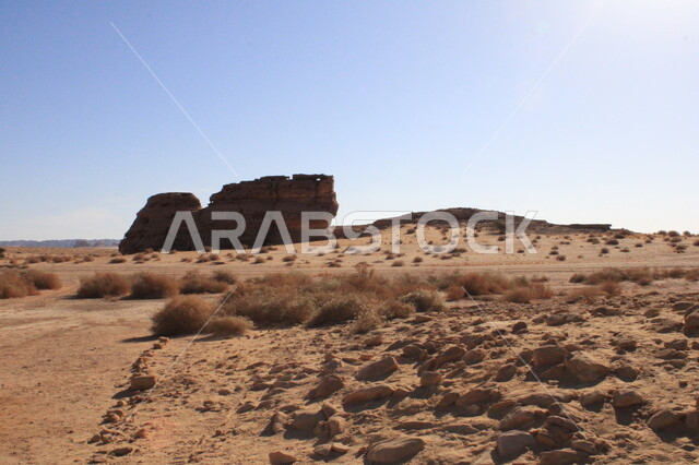 نمو النباتات البرية والشوكية في الصحراء، الأماكن السياحية في المناطق الصحراوية، التشكيلات و التكوينات الصخرية في العلا وسط صحاري المملكة العربية السعودية، المعالم التاريخية القديمة في مدائن صالح