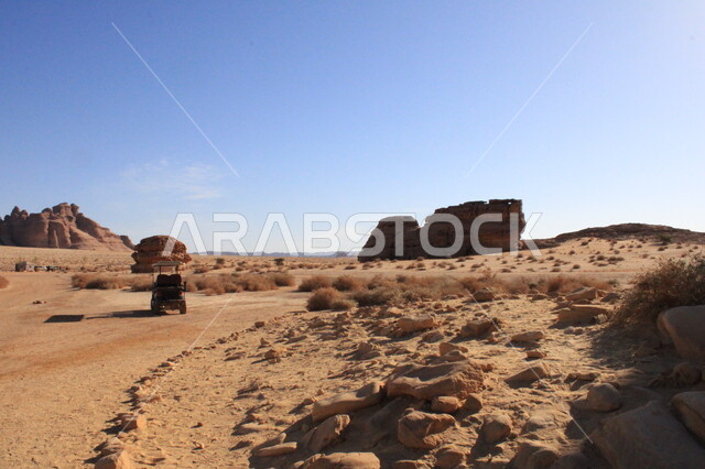نمو النباتات البرية والشوكية في الصحراء، الأماكن السياحية في المناطق الصحراوية، التشكيلات و التكوينات الصخرية في العلا وسط صحاري المملكة العربية السعودية، المعالم التاريخية القديمة في مدائن صالح