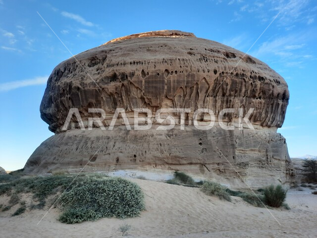 نمو النباتات البرية والشوكية في الصحراء، الأماكن السياحية في المناطق الصحراوية، المعالم التاريخية القديمة في مدائن صالح، التشكيلات و التكوينات الصخرية في العلا وسط صحاري المملكة العربية السعودية