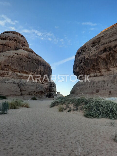 نمو النباتات البرية والشوكية في الصحراء، الأماكن السياحية في المناطق الصحراوية، المعالم التاريخية القديمة في مدائن صالح، التشكيلات و التكوينات الصخرية في العلا وسط صحاري المملكة العربية السعودية