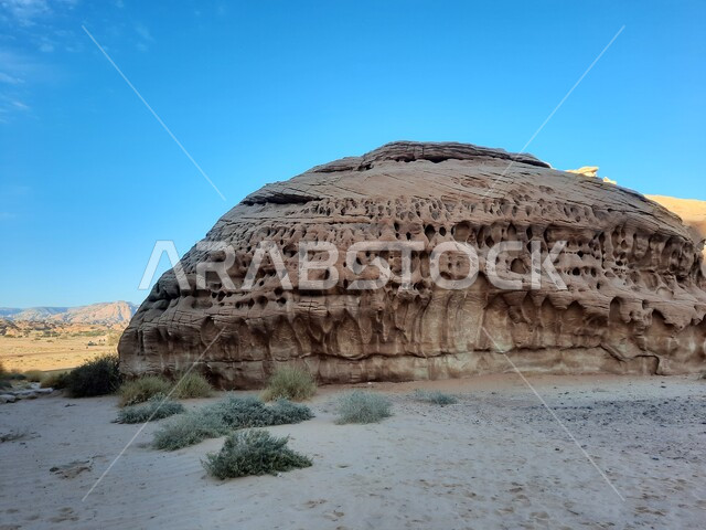 نمو النباتات البرية والشوكية في الصحراء، الأماكن السياحية في المناطق الصحراوية، المعالم التاريخية القديمة في مدائن صالح، التشكيلات و التكوينات الصخرية في العلا وسط صحاري المملكة العربية السعودية