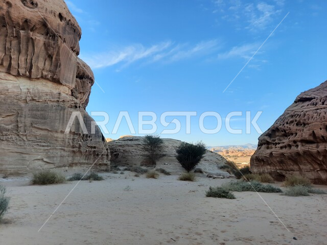 The growth of wild and thorny plants in the desert, tourist places in desert areas, ancient historical landmarks in Madain Saleh, rock formations and formations in AlUla in the middle of the deserts of the Kingdom of Saudi Arabia