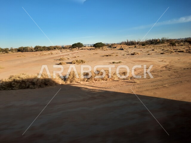 التشكيلات و التكوينات الرملية في العلا وسط صحاري المملكة العربية السعودية، أماكن سياحية في المناطق الصحراوية، المعالم التاريخية القديمة في مدائن صالح، نمو النباتات البرية والشوكية في الصحراء