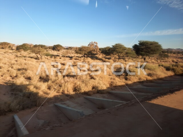 التشكيلات و التكوينات الصخرية في العلا وسط صحاري المملكة العربية السعودية، أماكن سياحية في المناطق الصحراوية، المعالم التاريخية القديمة في مدائن صالح، نمو النباتات البرية والشوكية في الصحراء