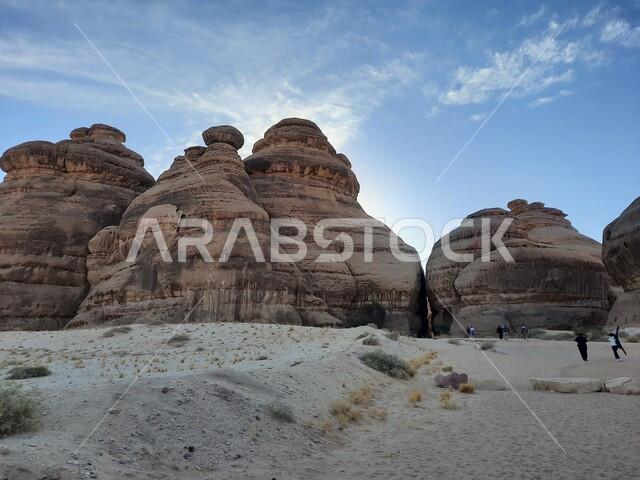 المعالم التاريخية القديمة في مدائن صالح، التشكيلات و التكوينات الصخرية في العلا وسط صحاري المملكة العربية السعودية، الأماكن السياحية في المناطق الصحراوية، نمو النباتات البرية والشوكية في الصحراء