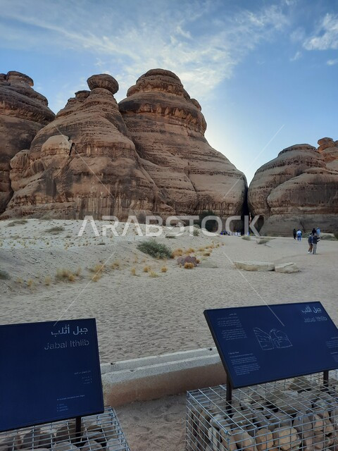 Rock formations in AlUla in the middle of the deserts of the Kingdom of Saudi Arabia, ancient historical landmarks in Madain Saleh, tourist places in desert areas, a blue metal sign for the Athlab Mountains in the desert, the growth of wild and thorny plants