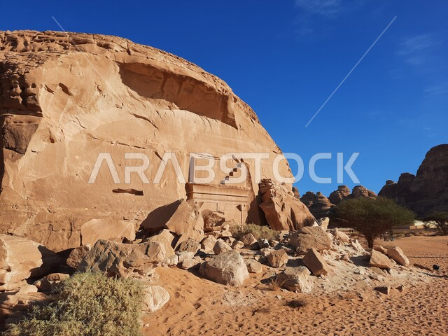 نمو النباتات الشوكية والبرية، التشكيلات و التكوينات الصخرية في العلا وسط صحاري المملكة العربية السعودية، المعالم التاريخية القديمة في مدائن صالح، الأماكن السياحية في المناطق الصحراوية، الكهوف التراثية في موقع الحجر الأثري في الصحراء