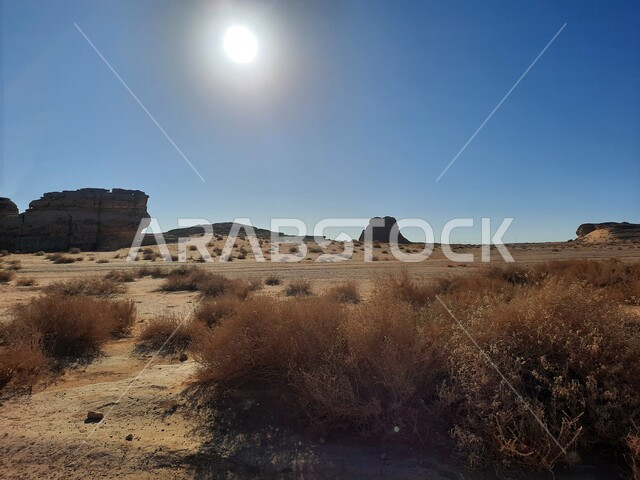 التشكيلات و التكوينات الصخرية في العلا وسط صحاري المملكة العربية السعودية، المعالم التاريخية القديمة في مدائن صالح، الأماكن السياحية في المناطق الصحراوية، نمو النباتات الشوكية والبرية، الكهوف التراثية في موقع الحجر الأثري في الصحراء