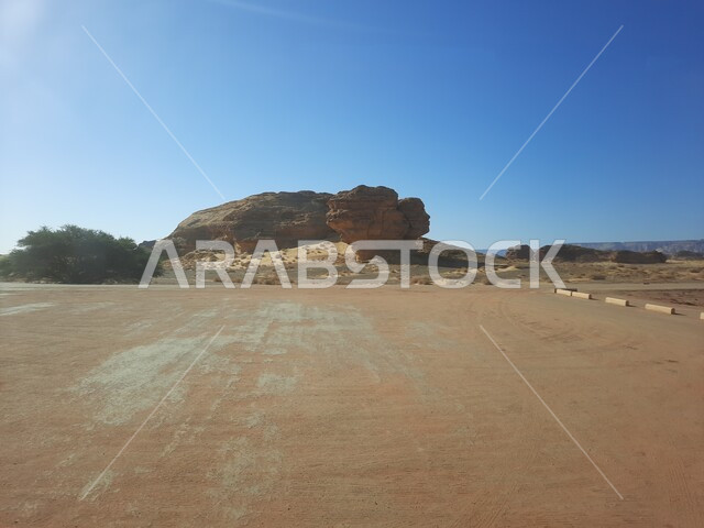 الأماكن السياحية في المناطق الصحراوية، التشكيلات و التكوينات الصخرية في العلا وسط صحاري المملكة العربية السعودية، المعالم التاريخية القديمة في مدائن صالح، نمو النباتات الشوكية والبرية في موقع الحجر الأثري في الصحراء