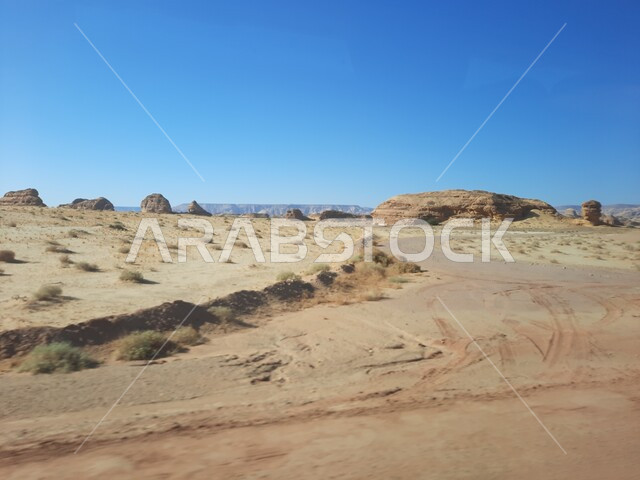 الأماكن السياحية في المناطق الصحراوية، التشكيلات و التكوينات الصخرية في العلا وسط صحاري المملكة العربية السعودية، المعالم التاريخية القديمة في مدائن صالح، نمو النباتات الشوكية والبرية في موقع الحجر الأثري في الصحراء