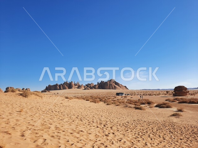 الأماكن السياحية في المناطق الصحراوية، التشكيلات و التكوينات الصخرية في العلا وسط صحاري المملكة العربية السعودية، المعالم التاريخية القديمة في مدائن صالح، نمو النباتات الشوكية والبرية في موقع الحجر الأثري في الصحراء