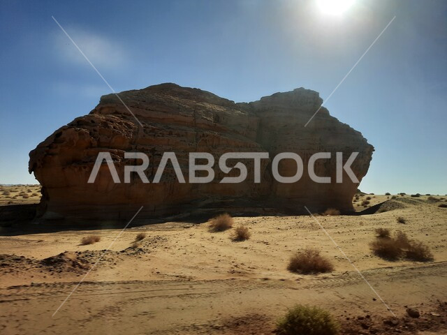 التكوينات والتشكيلات الصخرية في العلا وسط صحاري المملكة العربية السعودية، الأماكن السياحية في المناطق الصحراوية، المعالم التاريخية القديمة في مدائن صالح، نمو النباتات البرية والشوكية في الصحراء