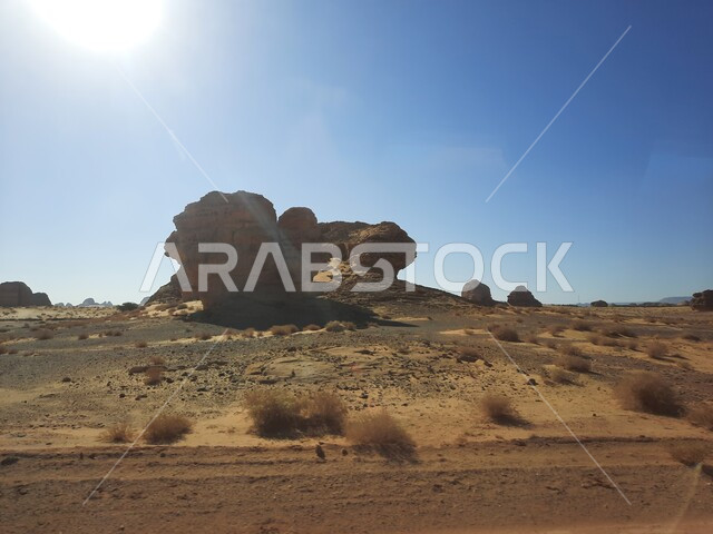 المعالم التاريخية القديمة في مدائن صالح، التكوينات والتشكيلات الصخرية في العلا وسط صحاري المملكة العربية السعودية، الأماكن السياحية في المناطق الصحراوية، نمو النباتات البرية والشوكية في الصحراء