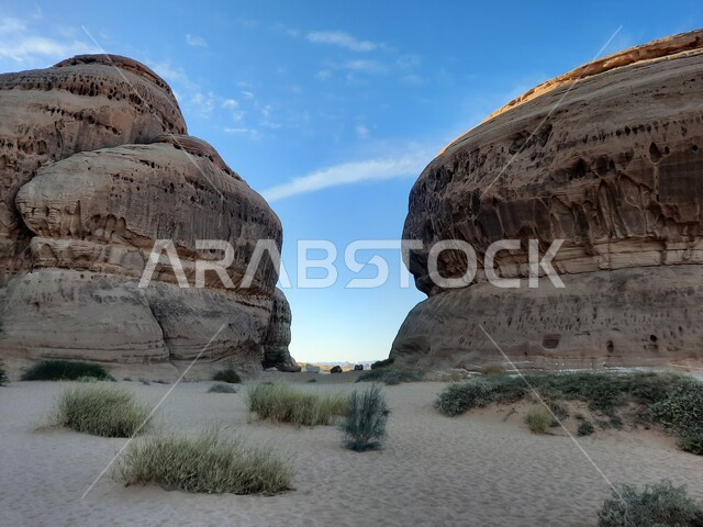 الأماكن السياحية في المناطق الصحراوية، نمو النباتات البرية والشوكيات في الصحراء، المعالم الأثرية التاريخية التراثية القديمة في مدائن صالح، التشكيلات و التكوينات الصخرية في العلا وسط صحاري المملكة العربية السعودية