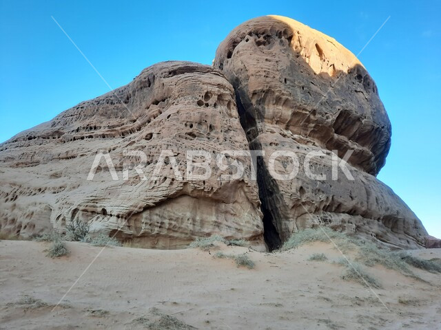 The ancient historical heritage monuments in Madain Saleh, the growth of wild plants and thorns in the desert, tourist places in desert areas, rock formations and formations in AlUla in the middle of the deserts of the Kingdom of Saudi Arabia
