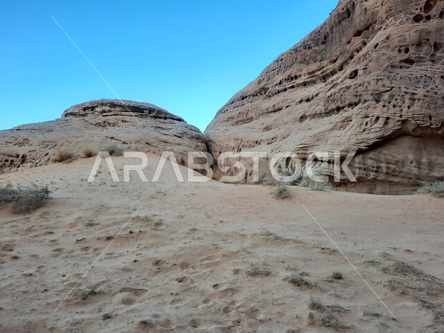 المعالم الأثرية التاريخية التراثية القديمة في مدائن صالح، نمو النباتات البرية والشوكيات في الصحراء، الأماكن السياحية في المناطق الصحراوية، التشكيلات و التكوينات الصخرية في العلا وسط صحاري المملكة العربية السعودية