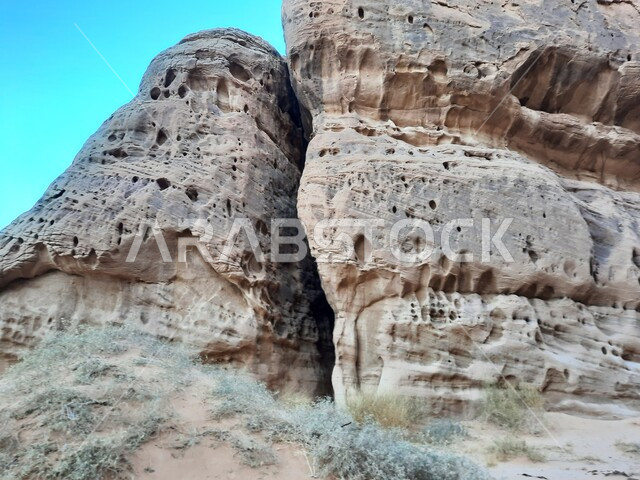 المعالم الأثرية التاريخية التراثية القديمة في مدائن صالح، نمو النباتات البرية والشوكيات في الصحراء، الأماكن السياحية في المناطق الصحراوية، التشكيلات و التكوينات الصخرية في العلا وسط صحاري المملكة العربية السعودية