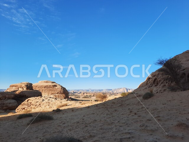 نمو النباتات البرية والشوكية, التكوينات والتشكيلات الصخرية في العلا وسط صحاري المملكة العربية السعودية، الأماكن السياحية في المناطق الصحراوية، المعالم التاريخية القديمة في مدائن صالح، القمم والمرتفعات في مواقع الحجر الأثري في الصحراء