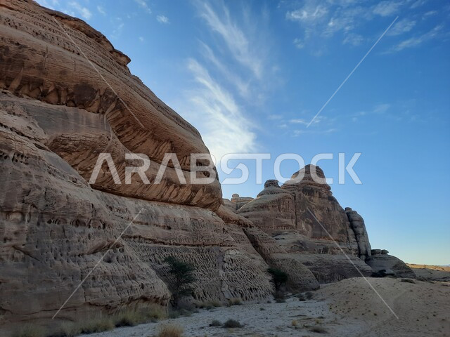 نمو النباتات البرية والشوكية, التكوينات والتشكيلات الصخرية في العلا وسط صحاري المملكة العربية السعودية، الأماكن السياحية في المناطق الصحراوية، المعالم التاريخية القديمة في مدائن صالح، القمم والمرتفعات في مواقع الحجر الأثري في الصحراء