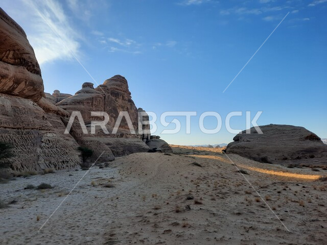 Growth of wild and thorny plants, rock formations and formations in AlUla in the middle of the deserts of the Kingdom of Saudi Arabia, tourist places in desert areas, ancient historical landmarks in Madain Saleh, peaks and heights in the archaeological stone sites in the desert