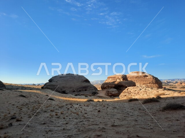 Growth of wild and thorny plants, rock formations and formations in AlUla in the middle of the deserts of the Kingdom of Saudi Arabia, tourist places in desert areas, ancient historical landmarks in Madain Saleh, peaks and heights in the archaeological stone sites in the desert
