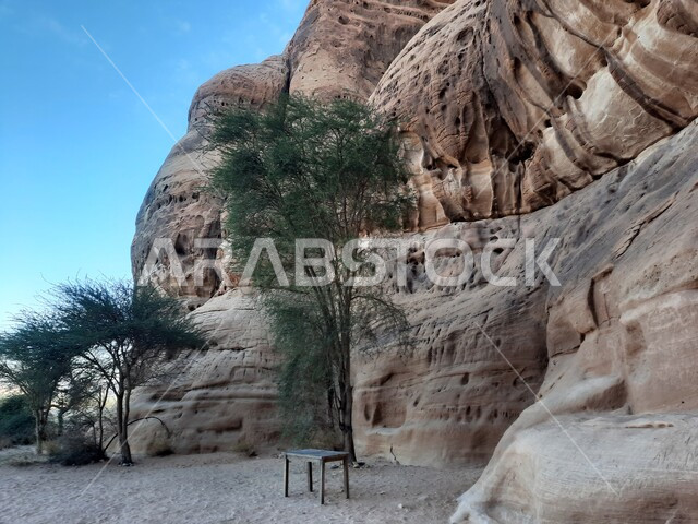 نمو النباتات البرية والشوكية، المعالم التاريخية القديمة في مدائن صالح، الكهوف التراثية في موقع الحجر الأثري في الصحراء، الأماكن السياحية في المناطق الصحراوية، التشكيلات و التكوينات الصخرية في العلا وسط صحاري المملكة العربية السعودية