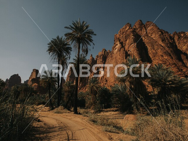 التشكلات والتكوينات والقمم الصخرية في وادي الديسة في منطقة تبوك، الاهتمام بالزراعة والتشجير في المدن السياحية، المناطق الصحراوية والكثبان الرملية في البراري، معالم اثرية تاريخية قديمة مشهورة في المملكة العربية السعودية