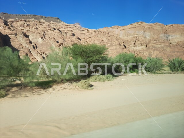  نمو النباتات الشوكية والبرية، الكهوف التراثية في موقع الحجر الأثري في الصحراء، التشكيلات و التكوينات الصخرية في العلا وسط صحاري المملكة العربية السعودية، المعالم التاريخية القديمة في مدائن صالح، الأماكن السياحية في المناطق الصحراوية