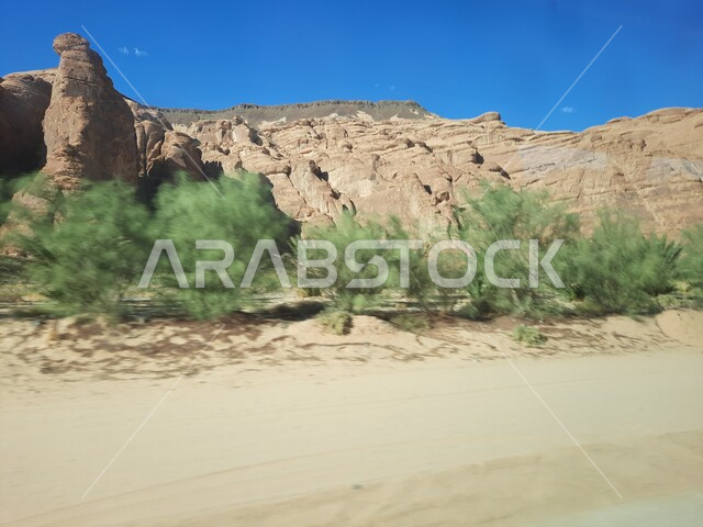  نمو النباتات الشوكية والبرية، الكهوف التراثية في موقع الحجر الأثري في الصحراء، التشكيلات و التكوينات الصخرية في العلا وسط صحاري المملكة العربية السعودية، المعالم التاريخية القديمة في مدائن صالح، الأماكن السياحية في المناطق الصحراوية
