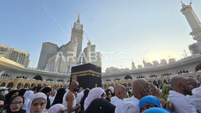 The destination of Muslims from all over the world, the concept of worship and drawing closer to God, sacred Islamic religious places and landmarks, performing the Hajj and Umrah rituals, the Grand Mosque in Mecca in the Kingdom of Saudi Arabia, the pilgrims of the House of God circumambulating the Kaaba in the courtyards of the Grand Mosque in Mecca