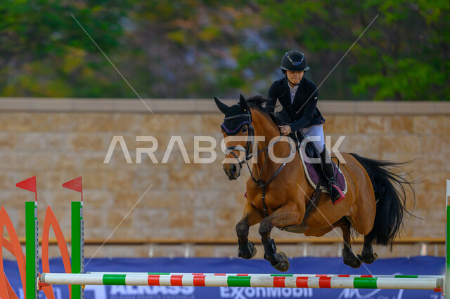 Knight taming a horse, 3rd Arabian Horse Cup in Qatar, Equestrian sports and entertainment, Horse racing in Doha track, Participation of the best owners and breeders in competitions and sports challenges, Show jumping