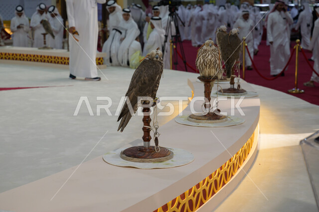 الاهتمام بتربية وترويض الطيور الجارحة والمفترسة, رمز القوة والتحدي وحدة البصر, صقر عربي أصيل في معرض كتارا الدولي للصيد والصقور (سهيل) 10 سبتمبر, المعارض والفعاليات الثقافية في دولة قطر, الفخر بالتراث الخليجي العريق