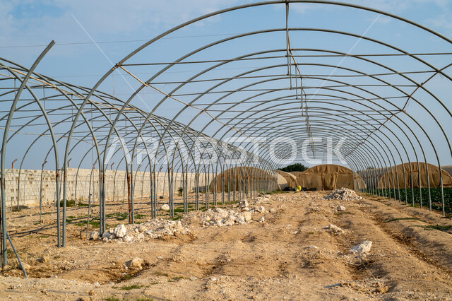 تطور وتقدم القطاع الزراعي في قطر، المنتجات المحلية الوطنية, الإنتاج المحلي للمحاصيل القطرية, مزرعة نباتية عضوية للزراعة المائية في مدينة الدوحة, الاهتمام بالحقول والأراضي الزراعية, المشاتل والنباتات الخضراء