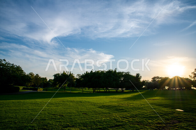 حديقة جرين هيلز في حي كتارا في الدوحة, المنتزهات والحدائق العامة, المعالم والأماكن السياحية الطبيعية في قطر, مناطق الرحلات الترفيهية العائلية الممتعة, الاهتمام بزراعة النباتات والمساحات الخضراء