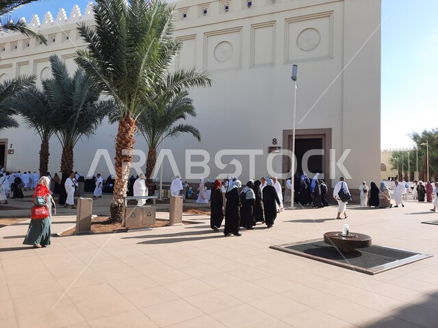 المعتمرين والحجاج أمام مسجد ذو الحليفة بالمدينة المنورة، الفن الهندسي المعماري للمساجد في المملكة، الإحرام من ميقات آبار علي في السعودية، الإستعداد لأداء فريضة الحج والعمرة في مكة المكرمة، أماكن ومعالم اسلامية مقدسة، الاهتمام بزراعة أشجار النخيل