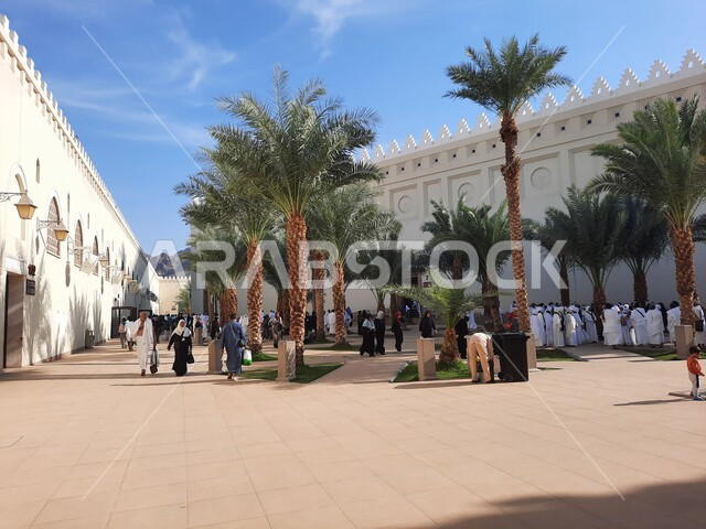 الاهتمام بزراعة أشجار النخيل، الإحرام من ميقات آبار علي في السعودية، الفن الهندسي المعماري للمساجد في المملكة، الحجاج والمعتمرين أمام مسجد ذو الحليفة بالمدينة المنورة، الإستعداد لأداء فريضة الحج والعمرة في مكة المكرمة، أماكن ومعالم اسلامية مقدسة