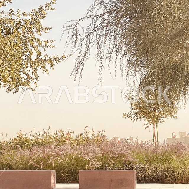 أعمال برنامج الرياض الخضراء والتأهيل البيئي، منتزه شعيب غذوانة في وادي حنيفة، الاهتمام بالتشجير وزراعة النباتات في المملكة العربية السعودية، مفهوم الاستدامة البيئية، مكان طبيعي ترفيهي عائلي