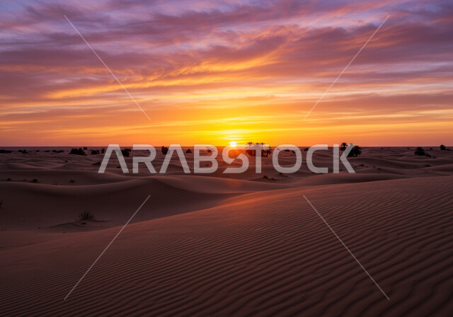 Soft golden wavy sand and dunes in the desert of Saudi Arabia, growth of plants and herbs in the desert areas and environment at sunset, natural sand dunes and plateaus in the middle of the desert, nature background