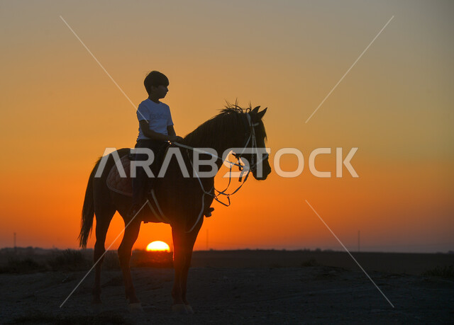 نشاط ترفيهي ممتع، الاهتمام والشغف بركوب الجياد،  تعلق أبناء المملكة العربية السعودية بالخيول، الفروسية وهواية ركوب الأحصنة، صورة ظلية من الجانب لولد عربي سعودي خليجي يرتدي الزي الكاجوال يقوم بالتجول على ظهر خيل بني اللون في الصحراء وقت غروب الشمس، سالوليت