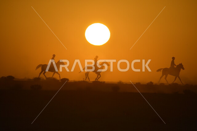 الاهتمام والشغف بركوب الجياد، تعلق أبناء المملكة العربية السعودية بالخيول، ترويض الفرس العربي الاصيل، الفروسية وهواية ركوب الأحصنة، نشاط ترفيهي ممتع، صورة ظلية لمجموعة فرسان يمتطون الخيل في الصحراء وقت غروب الشمس، سالوليت