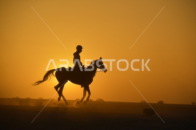 إرث الأجداد بالشغف بالفروسية, ممارسة هواية ركوب الخيل, الرمال الذهبية الناعمة في الصحراء, صورة ظلية لفارس خليجي سعودي يمتطي حصان عربي أصيل في وقت غروب الشمس, الاهتمام بتدريب وترويض الخيول في المناطق الصحراوية, سيلوليت
