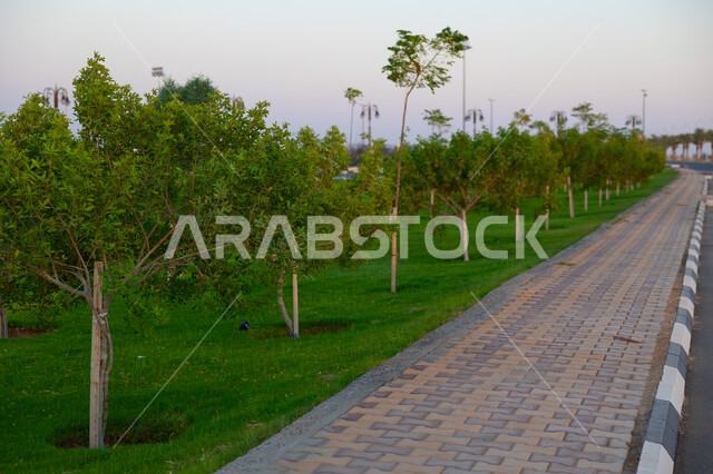 الاهتمام بالتشجير وزراعة النباتات الخضراء، النمو والتطور العمراني في المملكة العربية السعودية، التقدم الحضاري في الشارع، رصف الطرقات وتحديد المسارات بشكل منظم، تنظيم حركة المرور والسير في مدينة جدة