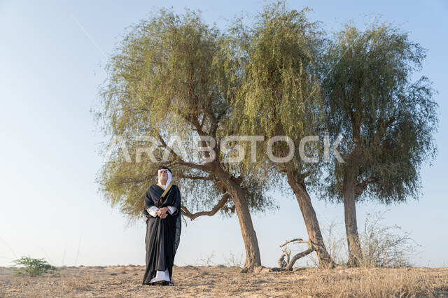التجول في المناطق الطبيعية في الامارات العربية المتحدة، ذكرى تأسيس الاتحاد 2 ديسمبر، حب الوطن والاعتزاز به، استذكار اليوم الوطني الاماراتي 1971، رجل عربي خليجي إماراتي يرتدي الكندورة والبشت مع الغترة البيضاء يقف امام شجرة خضراء كبيرة في الصحراء، خلفية الطبيعة