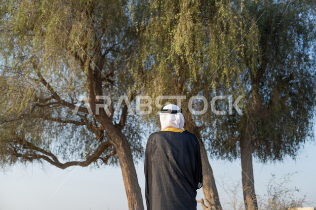 الاحتفال بذكرى تأسيس الاتحاد 2 ديسمبر، حب الوطن والاعتزاز به، اليوم الوطني الاماراتي 1971، صورة من الخلف لرجل عربي خليجي إماراتي يرتدي الكندورة والبشت مع الغترة يقف امام شجرة خضراء كبيرة في النهار ، التجول في المناطق الطبيعية في الامارات العربية المتحدة