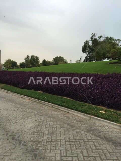 الاهتمام بالتشجير وزراعة الأشجار في الحدائق العامة، وجهة عائلية بيئية ترفيهية، الحفاظ على البيئة والتنمية المستدامة، النباتات الخضراء في حديقة الخور في مدينة دبي، الهندسة الزراعية المتميزة في الإمارات العربية المتحدة