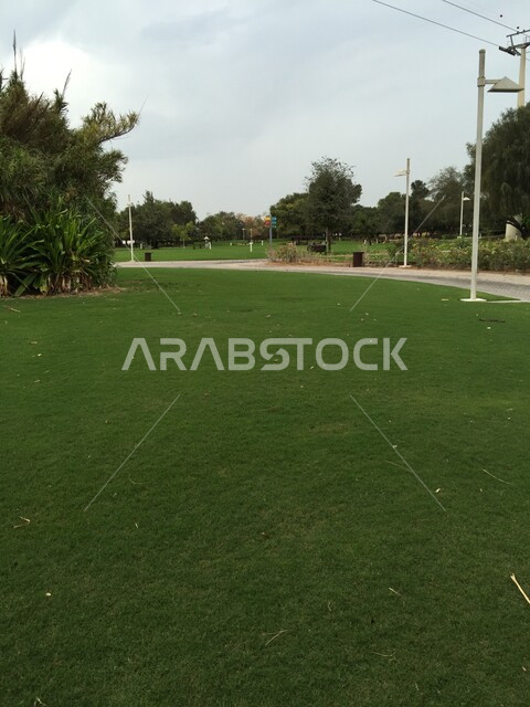 الاهتمام بالتشجير وزراعة الأشجار في الحدائق العامة، وجهة عائلية بيئية ترفيهية، الحفاظ على البيئة والتنمية المستدامة، النباتات الخضراء في حديقة الخور في مدينة دبي، الهندسة الزراعية المتميزة في الإمارات العربية المتحدة