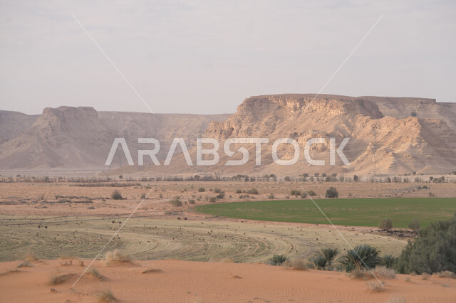 القمم والمرتفعات الجبلية في المناطق الصحراوية، التكوينات والتشكيلات الرملية في صحاري المملكة العربية السعودية، المناظر الطبيعية المتميزة ، الرمال الذهبية الناعمة، نمو النباتات الخضراء في صحراء مدينة الرياض